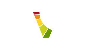 CVSS